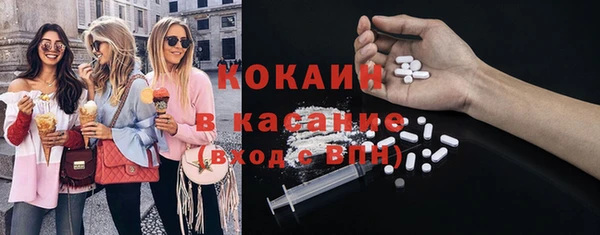 соль ск Алзамай