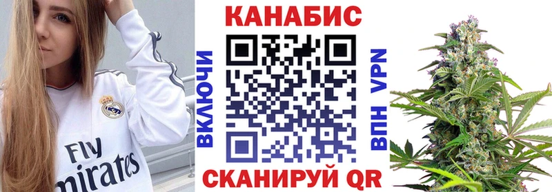 Бошки марихуана планчик Суровикино